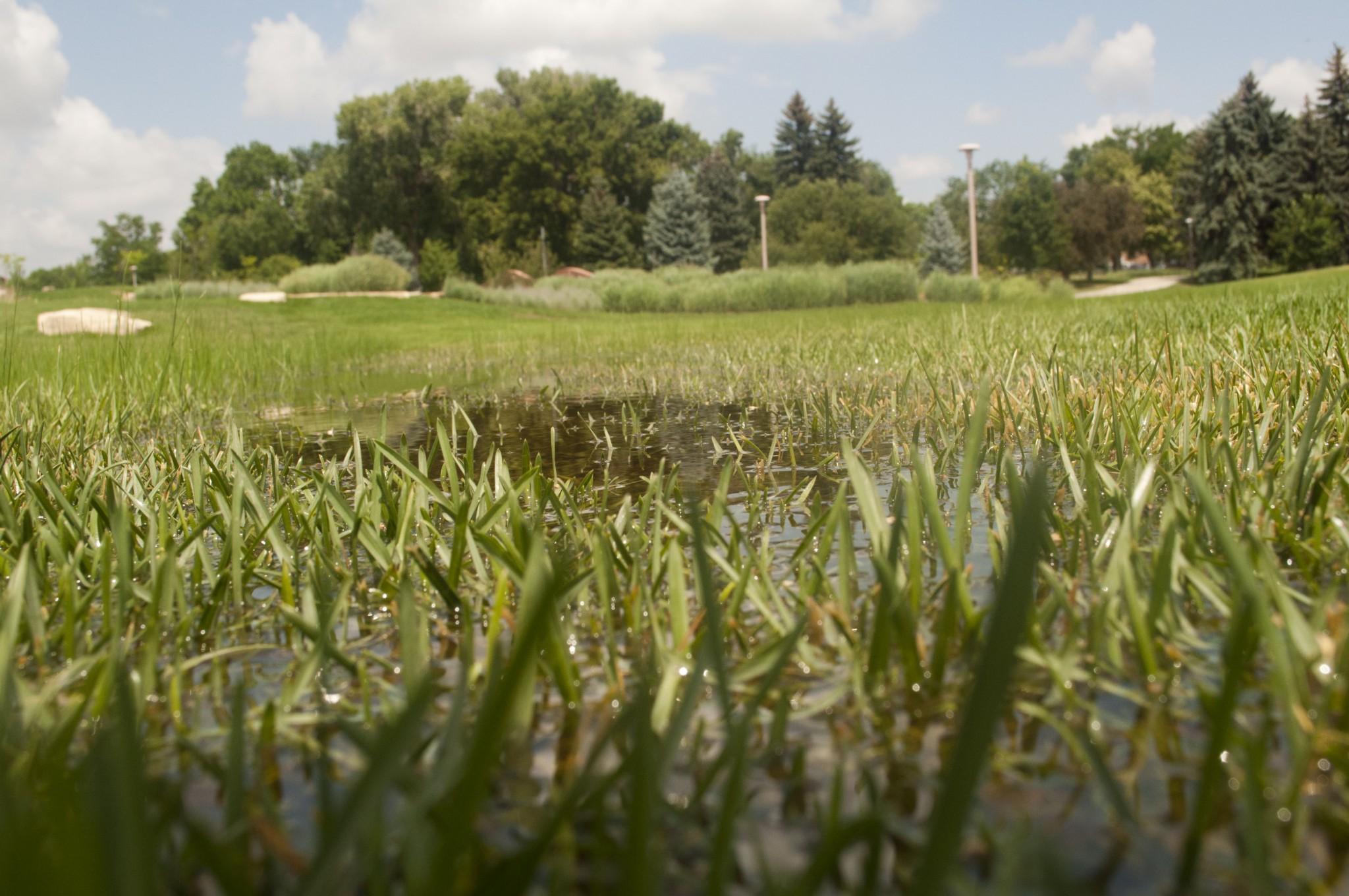 A flooded field on the CSU campus. Three days of rain have caused widespread fear of flooding and mudslides but have lowered real fire danger little. Photo by John Sheesley