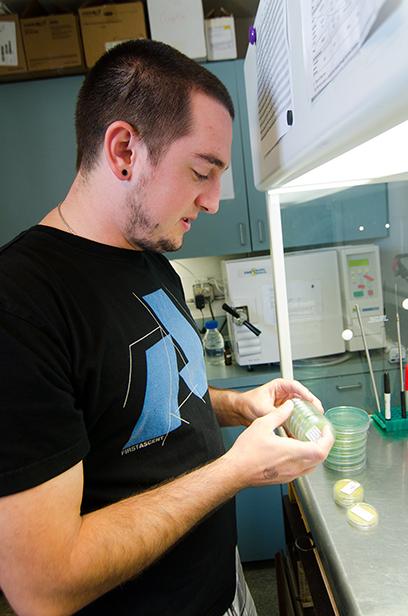 Lab technician Tony Rau examines sample yeast strains Saturday Aug. 18 at Odell Brewery. Rau took the Brewing Science and Technology class at CSU that immediately interested him and lead to his pursue a job at Odell.