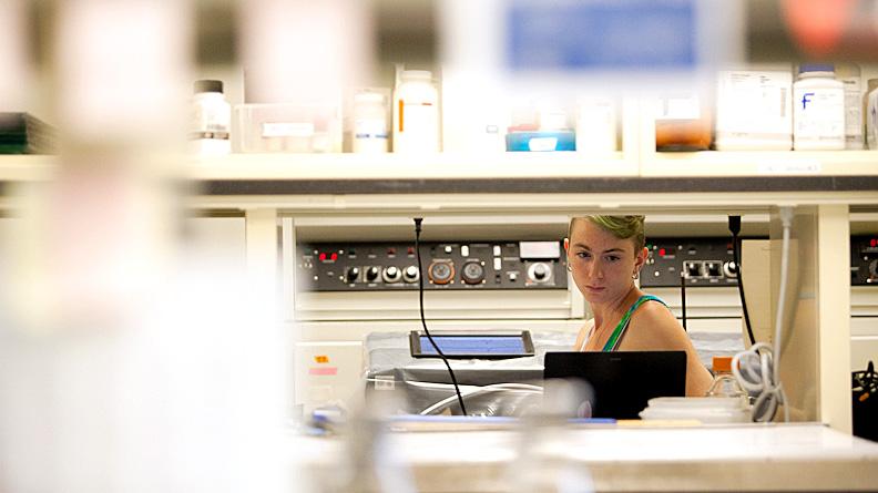 Senior biochemistry major Kelsey Thompson works in  a lab located in the anatomy/zoology building Tuesday afternoon. Due to current space limitations, the anatomy department led by student grassroots initiatives are petitioning for a new state of the art anatomy facility.