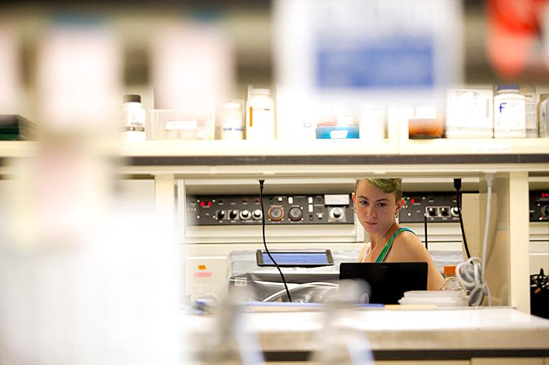 Senior biochemistry major Kelsey Thompson works in  a lab located in the anatomy/zoology building Tuesday afternoon. Due to current space limitations, the anatomy department led by student grassroots initiatives are petitioning for a new state of the art anatomy facility.