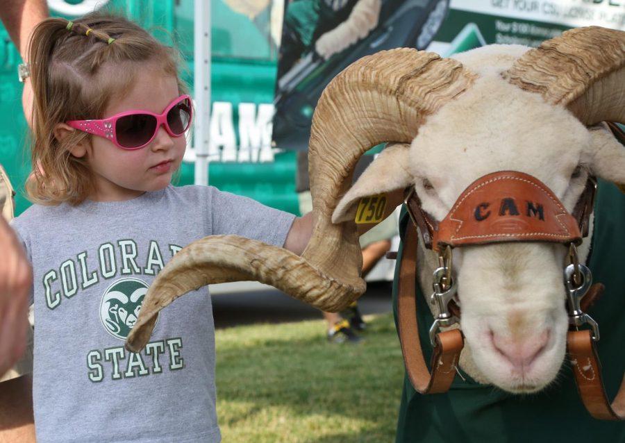 Taylor Tribbett, 2, pets Cam the Ram during the Ag Day celebration outside of Hughes Stadium Saturday afternoon. The annual alumni barbque gets together past and present Rams in an effort to raise scholorship money for for students.