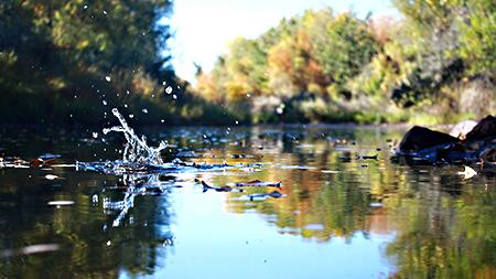 PHOTO ILLUSTRATION. The Poudre River has been running black with ash ever since the infamous fires of this past summer. The ash is preventing Fort Collins from using the Poudre as a source of drinking water.