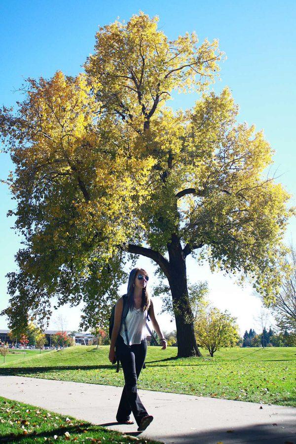 Sophomore Kaitlyn Adkins walks home from class on a sunny Monday afternoon. Trees are changing colors and the temperature can never make up its mind as we slowly near winter.