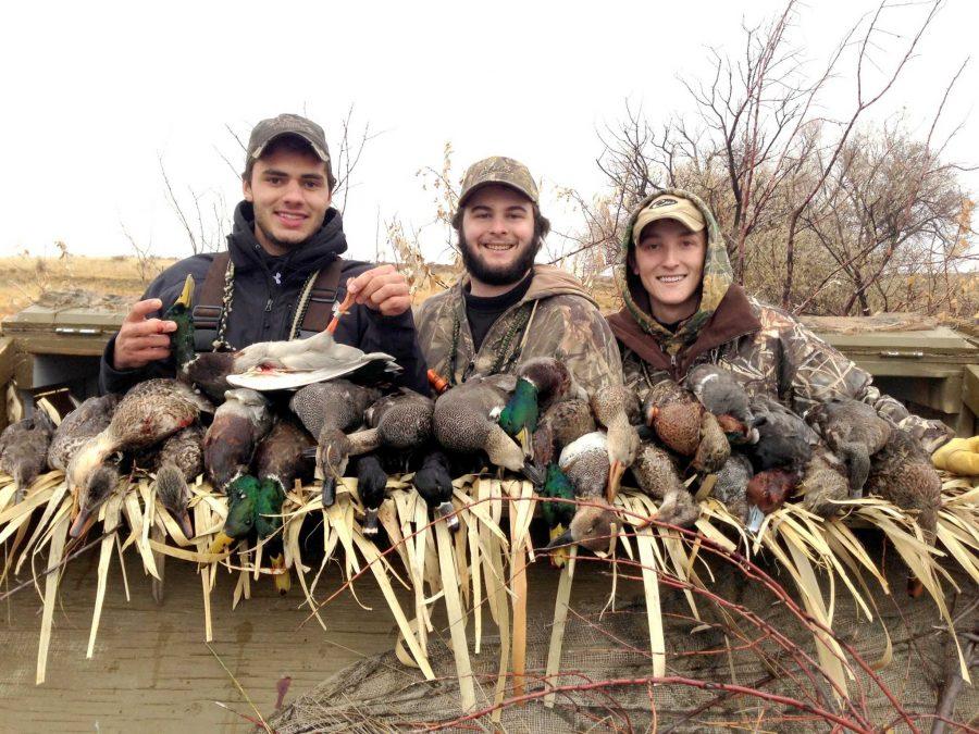 Left to right, Colorado State Junior Kyle Sardi, Alumnus Tyler Nicely, and Senior Sam Wigand show the results of their duck hunting day resulting in 7 species and a banded mallard being shot.