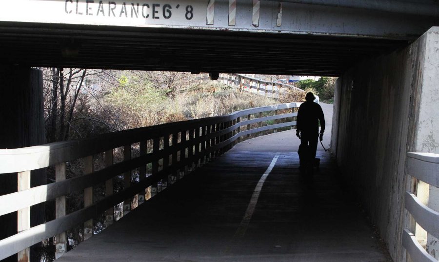 Fort Collins resident Bill Ashley walks his dogs on the Spring Creek Trail south of campus. Collegian File Photo.