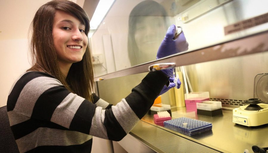 Sophmore microbiology major Caitlin Lozano performs a nested poymerase chain reaction in her lab at the Pathology building Tuesday morning. Lozano recently discovered new forms a herpes in felines which is still undergoing research by herself and her team.