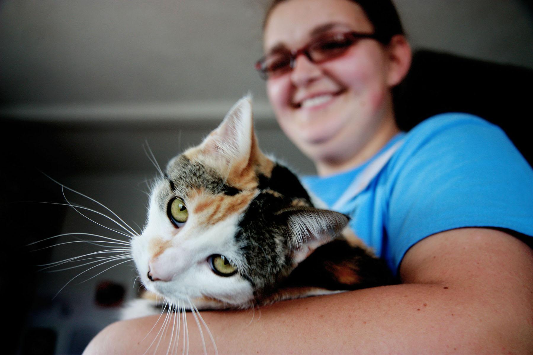 CSU Pre-Vet Sophomore, Kira Flynn, pets Obie at the local Fort Collins Cat Rescue Sunday afternoon. Flynn volunteers much of her time to take care of healthy cats who have been saved by the rescue clinic as well as cats like Obie, who suffer from Feline Lukemia Virus (FELV).