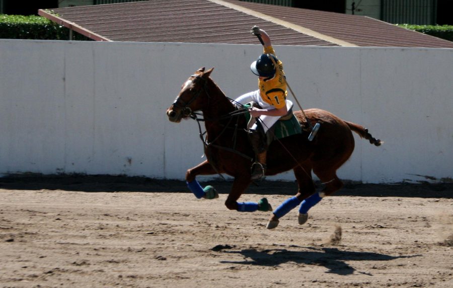 Jake Brown rides during polo regionals. Men and Women’s Polo teams are traveling to Brookshire, Texas for the USPA National Intercollegiate Championships.