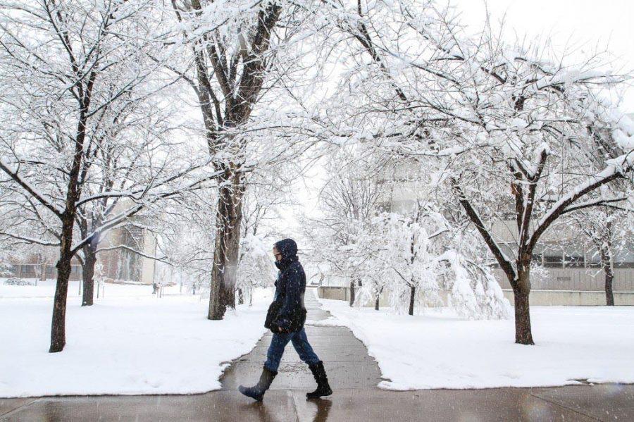 Journalism graduate student Natalie Hansen walks home in the snow after class yesterday afternoon. With the recent snow the past few weeks, some students are starting to second guess their decision to attend school in Colorado.