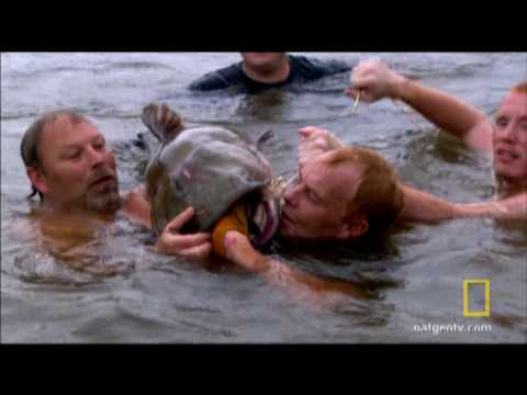Woman is first to catch the biggest fish in the Oki Noodling Festival