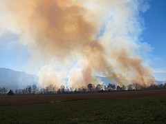 Starwood Fire ablaze in Larimer County