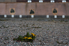 Shooting Range (Photo credit: macroman)