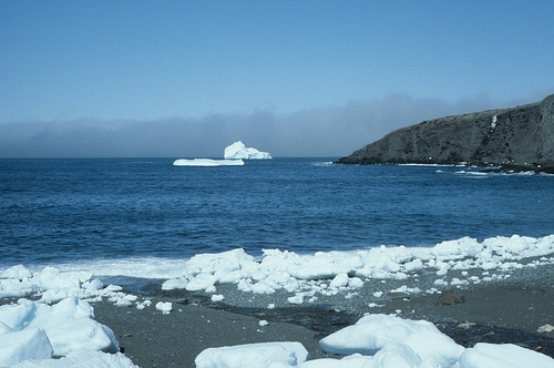 Tourists abandoned on Arctic ice floe