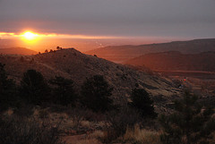 Home is where Fort Collins is