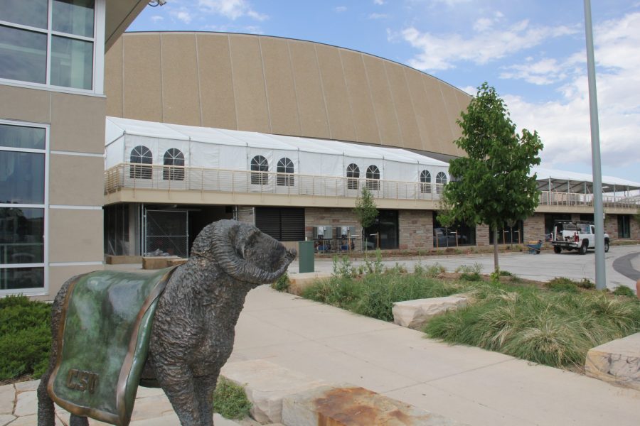 Moby Arena expansion nears completion