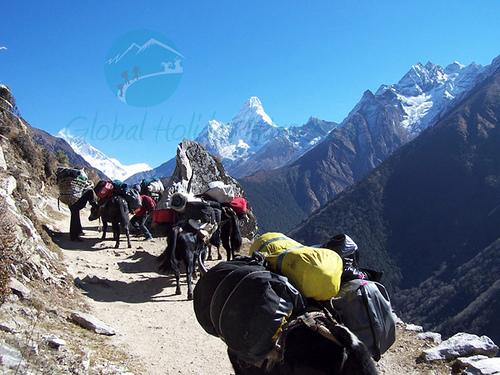 Sherpas trekking Mt. Everest. Photo courtesy of nepaltraveladventure.com, Flickr. 