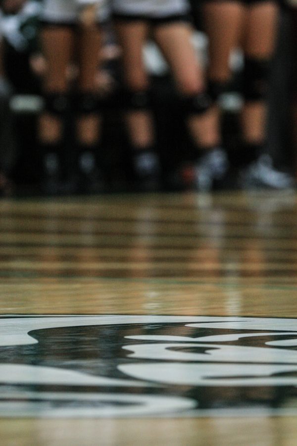 Sports brief: CSU volleyball moves up to No. 17 in AVCA poll
