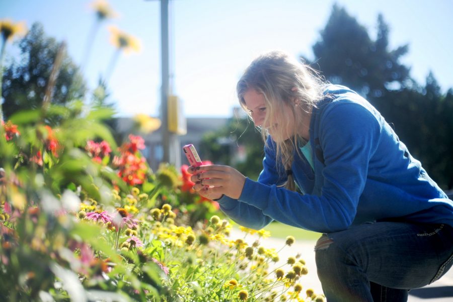 Fort Collins Resident Morgan Rhine takes pictures of the blooming flowers on campus Wednesday morning. Many of the plants on campus are planted in as test plots for research.