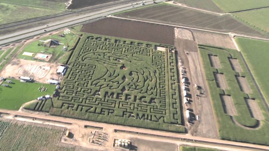 VIDEO: Fritzler Corn Maze opening on time despite rainfall 