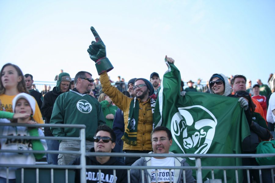 Austin Gray: Fort Collins' energizer bunny