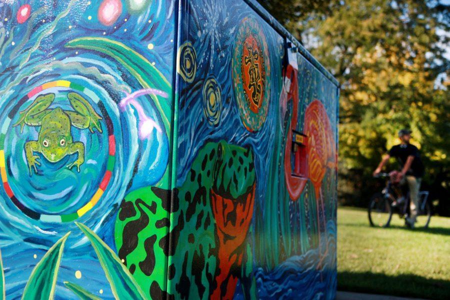 The flavor and color of Fort Collins shines on electrical boxes (like this one at City Park) and panios through out town. These wild and unique paintings are done by local graffiti artists from the community.