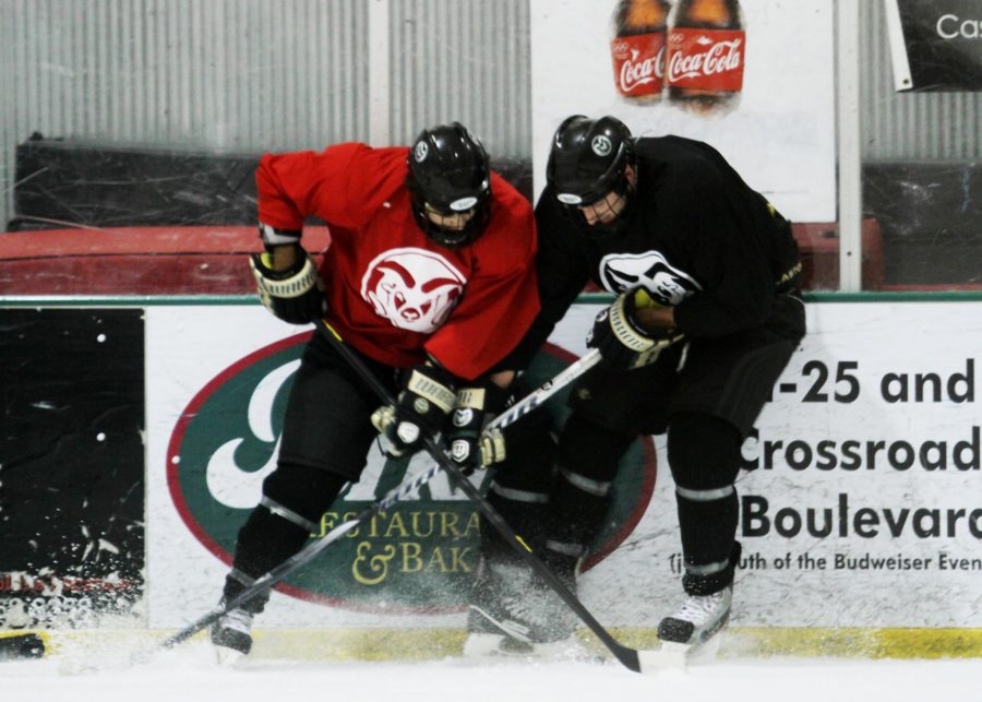 CSU hockey players slam into eachother as they fight for a puck during a drill at a late night practice.