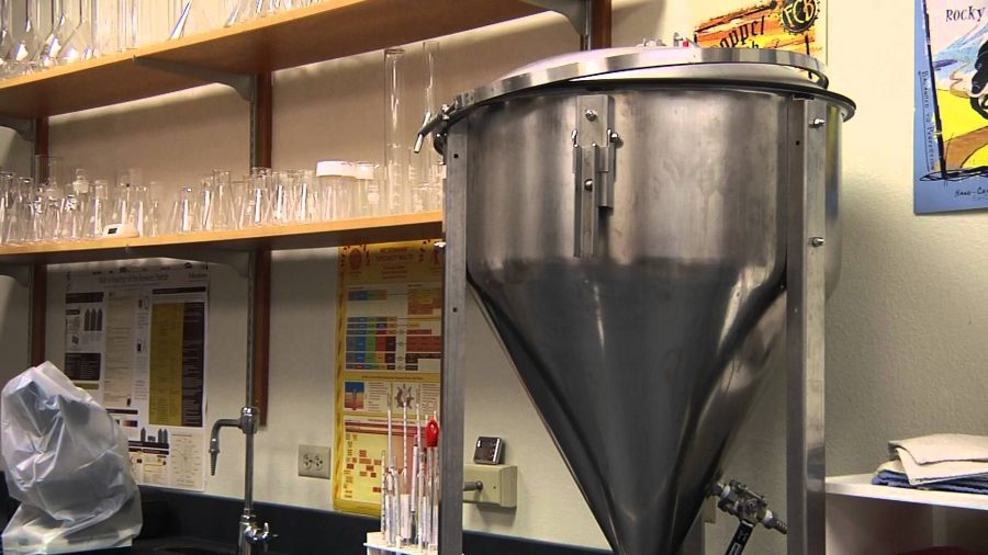 VIDEO: Fermentation Science & Technology develops as a new major