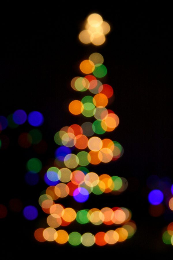 Christmas_lights_-_1