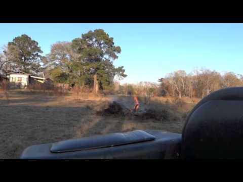 What I learned at the farm
