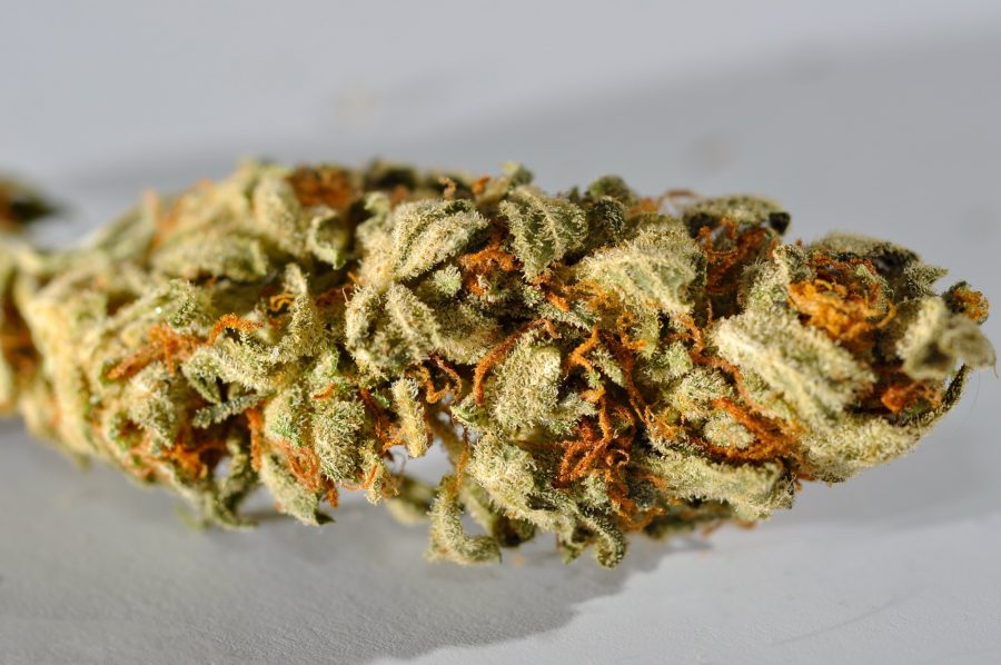 Colorado sells first legal retail marijuana
