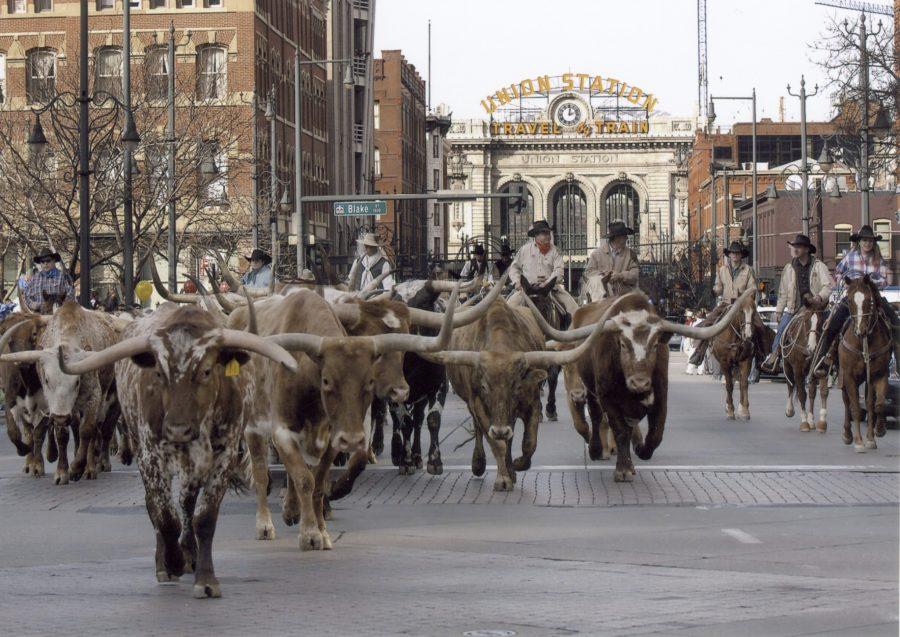 Got Stock Show?