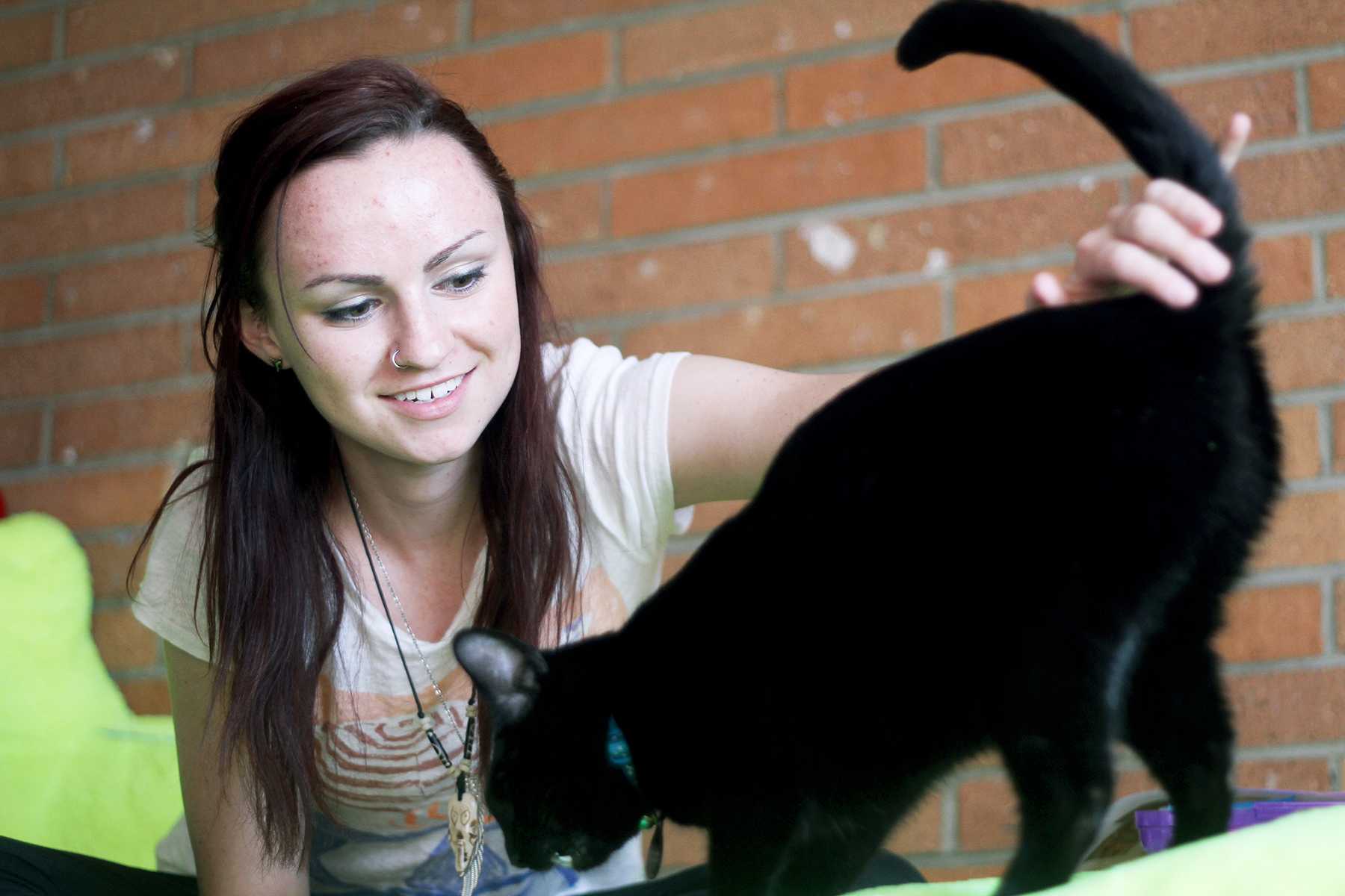 First Year student Erica Koch gives her companion kitty, Pine, some treats Monday afternoon. Koch adopted Pine from the Fort Collins Cat Rescue.