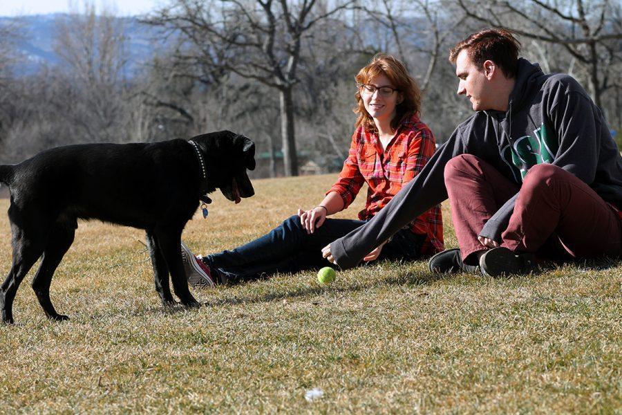 Sophomore liberal arts majors Lauren Domnik and Jake Schwebach play a game of fetch with dog Bentley at City Park Wednesday to take advantage of the warm weather.