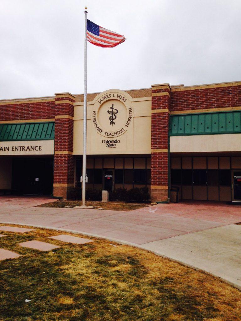 CSU's Veterinary Teaching Hospital. Photo credit Dixie Crowe