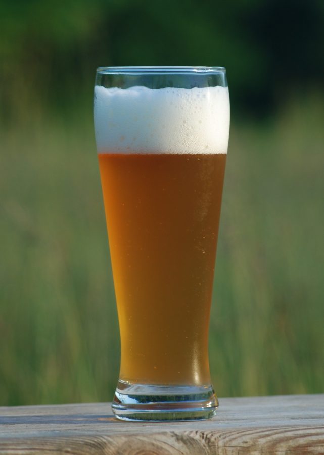 New Belgium Introduces Snapshot Wheat