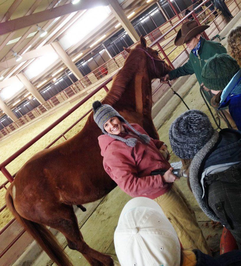 Cutting Lessons—Equine Science Instructor Tiare Santistevan demonstrates a smooth clipping motion along Teddy’s neck during the Equine Management lab. Mr. Synder who co-teaches the class is acting as the assistant showing us how to hold the horse for our partner when we get our turn. Photo credit Dixie Crowe.