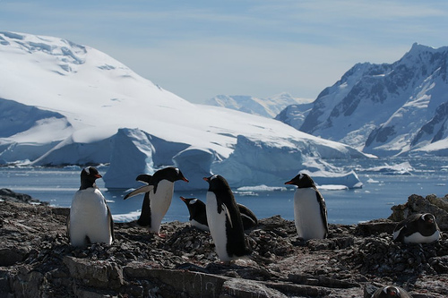 New Geosciences Department head, Rick Aster, presents Antarctic research to students