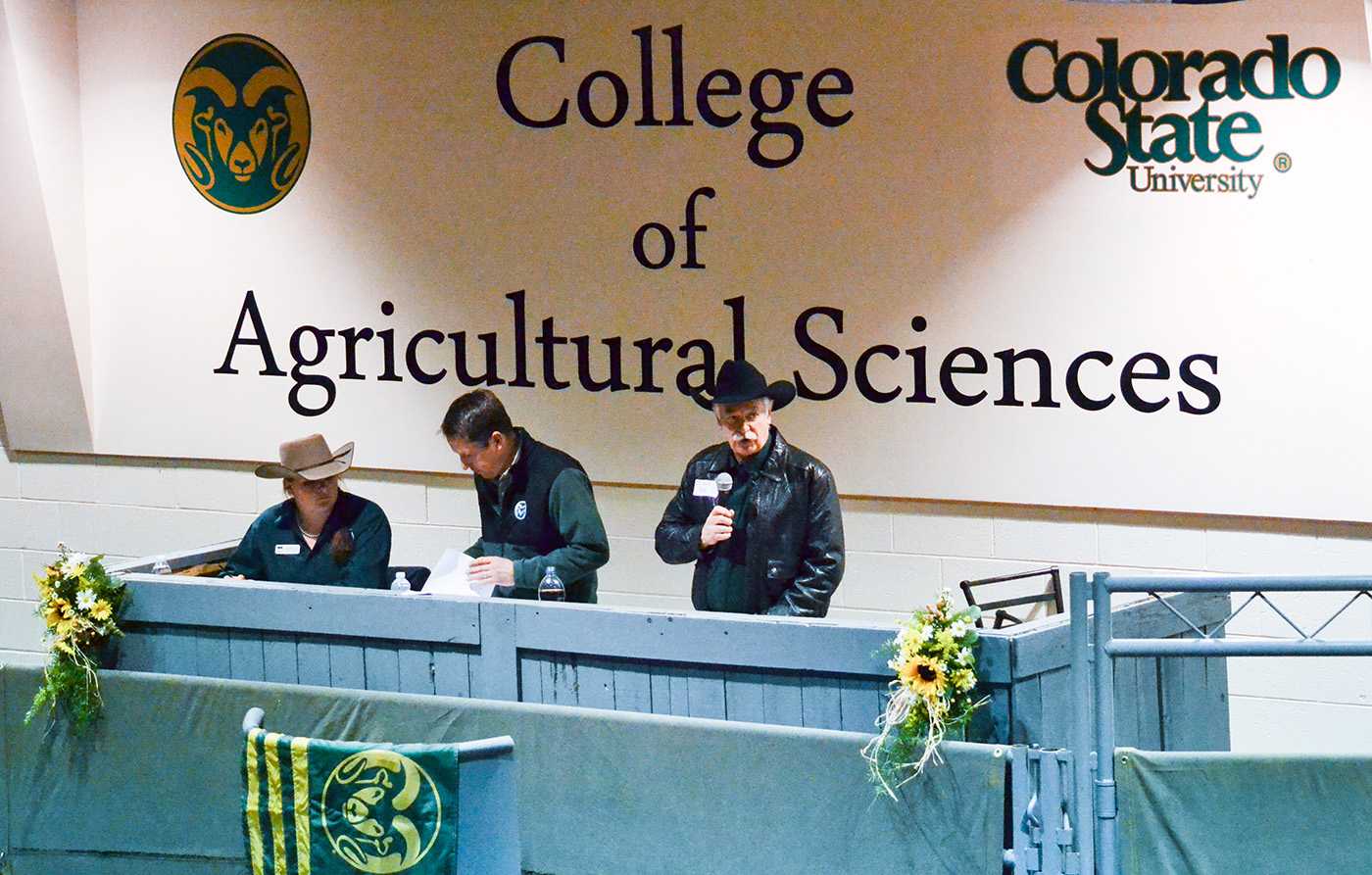 Dr. Kevin Pond, Head of the Animal Sciences Department, welcomed buyers and spectators to CSU's 38th Annual Bull Sale. Photo credit Dixie Crowe.