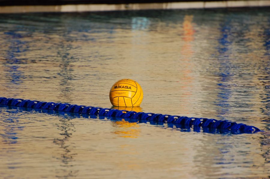 Water polo player unsure how to get horse in the water