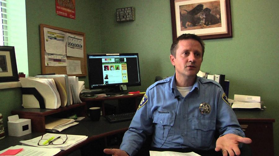 VIDEO: Dog Leash Laws in Fort Collins