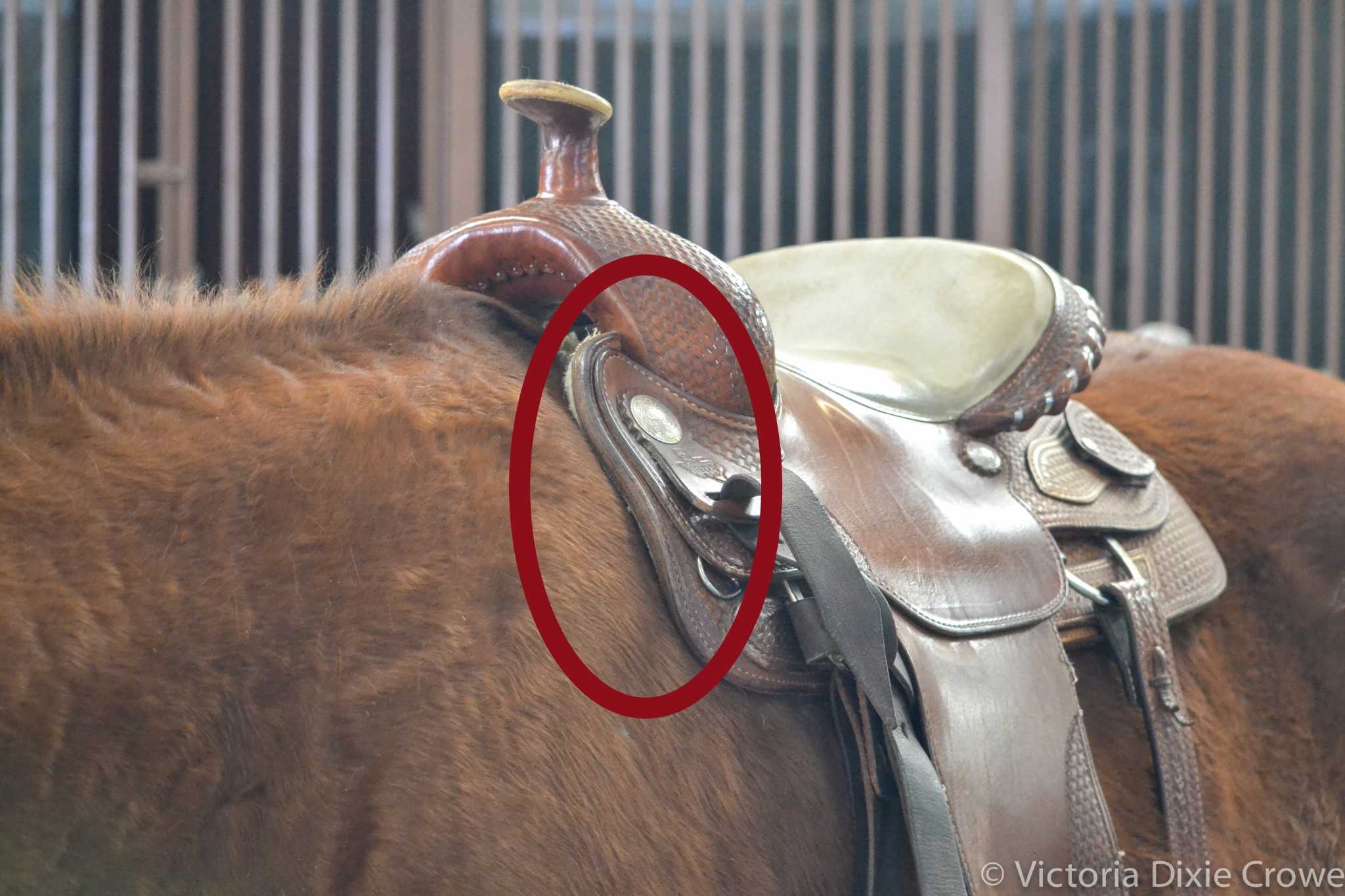 The beginning of the bar of my saddle is just under the silver concho, and you can see it is too tight on this horse. Photo credit Dixie Crowe