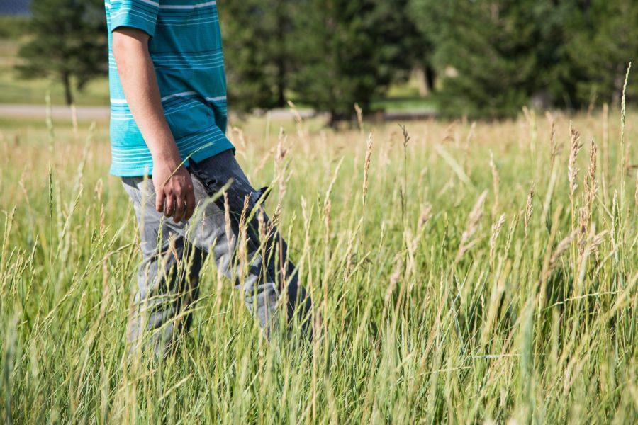 Photo Illustration: The City of Fort Collins has fined residents for excessivley tall grass