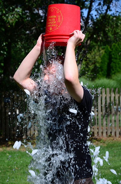Our View: #ALSIceBucketChallenge