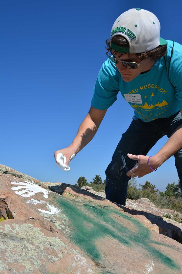 Psychology  junior, Chris Amerman, leaves his handprint on one of the rocks across from the  top of the A. Amerman was one of the many volunteer that helped paint the A. (Photo Credit: Megan Fischer)