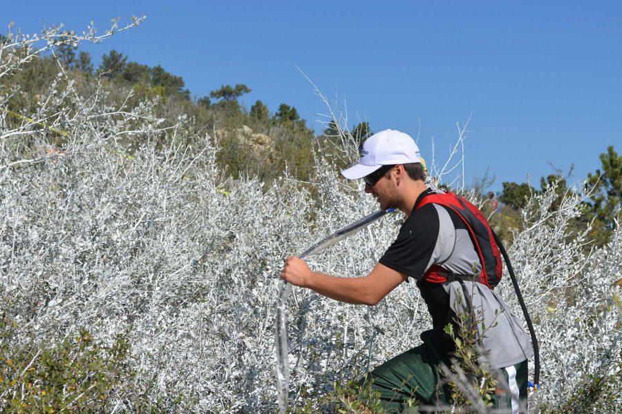 Construction management sophomore, Dan Kovach, helps to get the paint sprayer up the hill to continue painting the A. Volunteers worked through the day to paint the A. (Photo Credit: Megan Fischer)