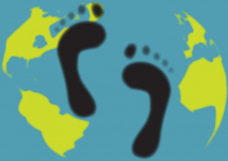 10 simple ways to reduce your carbon footprint