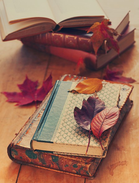 Fall Into Reading 