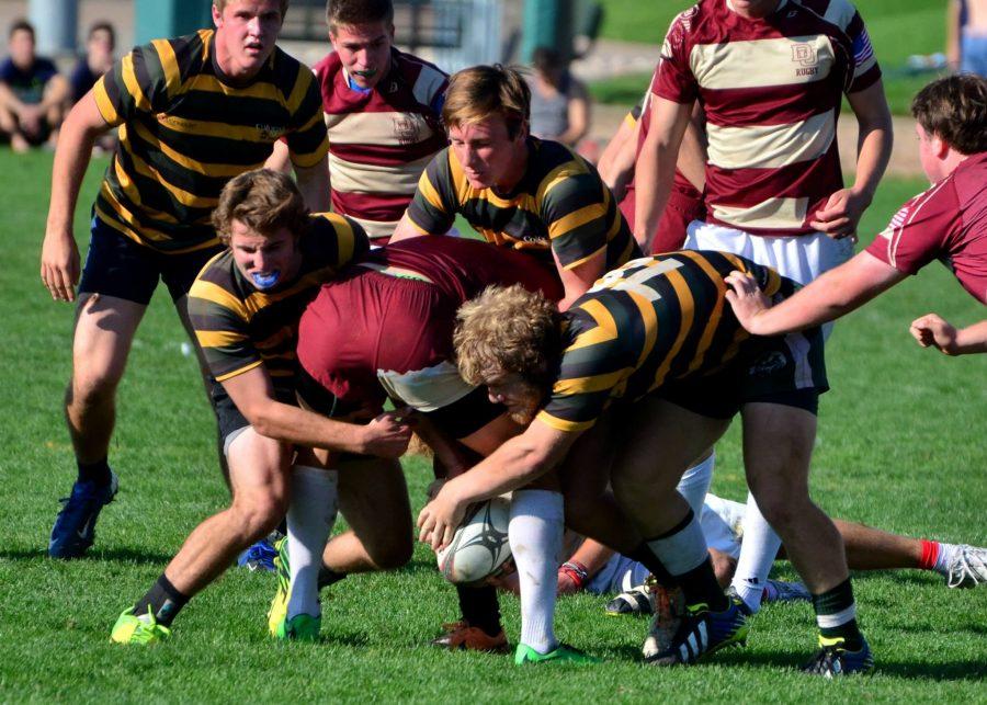 Colorado State rugby players battle with opponents from Denver University during a preseason match earlier this fall. (Photo Credit: Andrew Quirk)