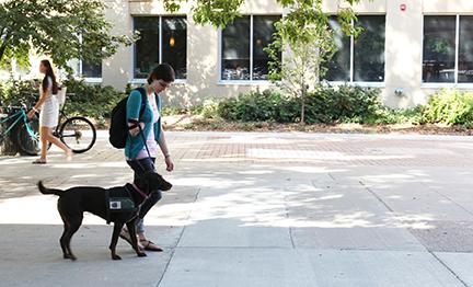 Service and assistance animals at CSU provide a helping paw