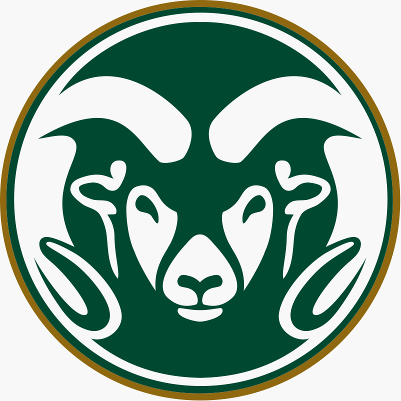 46 new faculty members join CSU